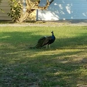 Meet your Posher, Eliza